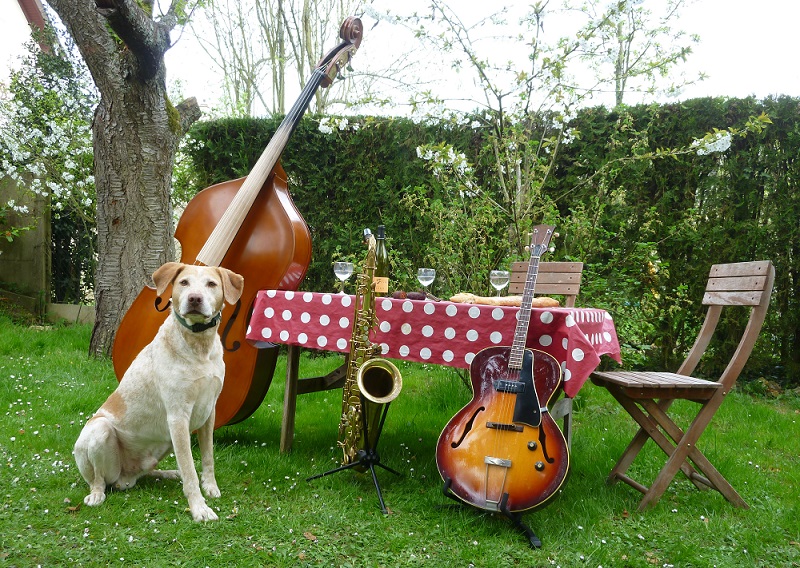 Logo Dog-Trio